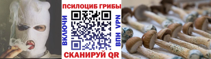 Галлюциногенные грибы MAGIC MUSHROOMS  Беслан 